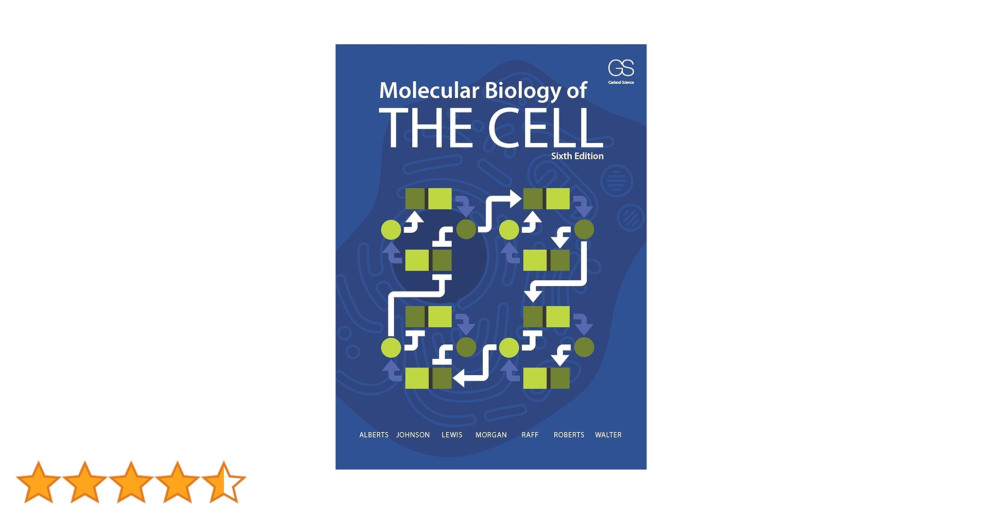 Amazon | Molecular Biology of the Cell: Sixth Edition